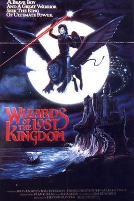 黑暗大法师 Wizards of the Lost Kingdom (1985) - 毒蛇电影