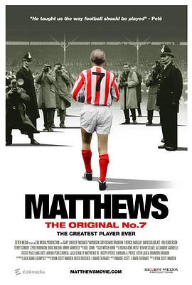 matthews  (2017) - 毒蛇电影