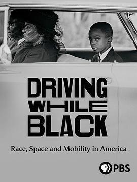 Driving While Black: Race, Space and Mobility in America  (2020) - 毒蛇电影