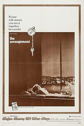 我就爱你 The Arrangement (1969) - 毒蛇电影