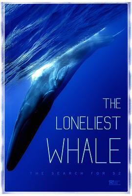 最孤独的鲸：寻找52 The Loneliest Whale: The Search for 52 (2021) - 毒蛇电影