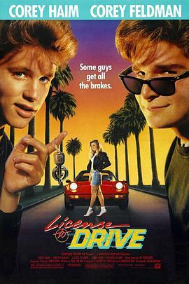 驾驶执照 License to Drive (1988) - 毒蛇电影