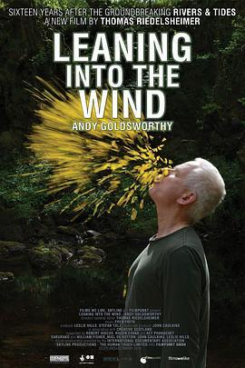 投身风中 Leaning Into the Wind: Andy Goldsworthy (2017) - 毒蛇电影