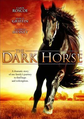 黑马 The Dark Horse (2008) - 毒蛇电影