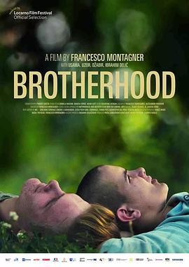 兄弟手足 Brotherhood (2021) - 毒蛇电影