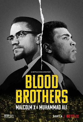 生死之交：马尔科姆·X与拳王阿里 Blood Brothers: Malcolm X & Muhammad Ali (2021) - 毒蛇电影