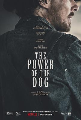 犬之力 The Power of the Dog (2021) - 毒蛇电影