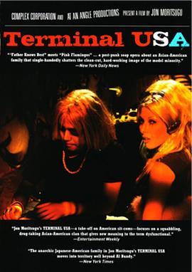 美国终点站 Terminal USA (1993) - 毒蛇电影