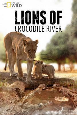 趟过鳄鱼河的狮子 Lions Of Crocodile River (2007) - 毒蛇电影