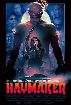 Haymaker  (2021) - 毒蛇电影