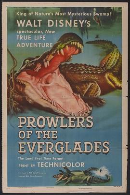 沼泽巡弋者 Prowlers of the Everglades (1953) - 毒蛇电影