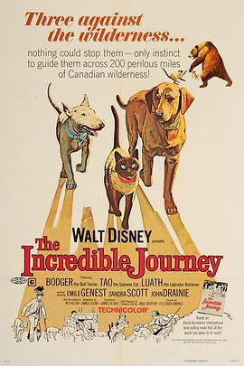 一猫二狗三分亲 The Incredible Journey (1963) - 毒蛇电影