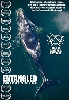 拯救露脊鲸 Entangled: The Race to Save Right Whales from Extinction (2020) - 毒蛇电影