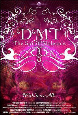 二甲基色胺：精神分子 DMT: The Spirit Molecule (2010) - 毒蛇电影