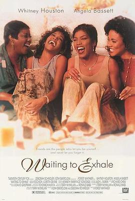 待到梦醒时分 Waiting to Exhale (1995) - 毒蛇电影