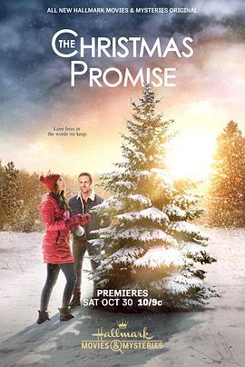 圣诞诺言 The Christmas Promise (2021) - 毒蛇电影