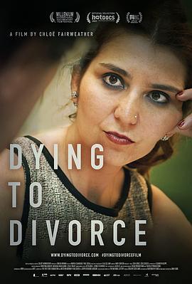 我要离婚 Dying to Divorce (2021) - 毒蛇电影