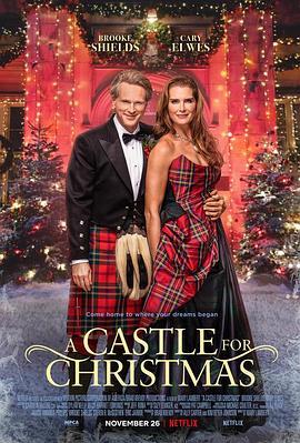 圣诞城堡 A Castle for Christmas (2021) - 毒蛇电影