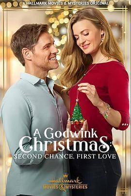 圣诞爱重来 A Godwink Christmas: Second Chance, First Love (2020) - 毒蛇电影