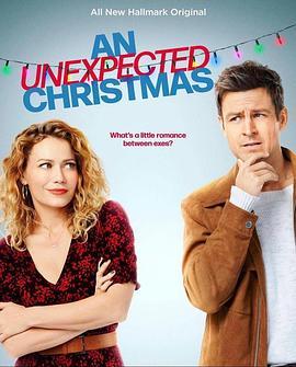 An Unexpected Christmas  (2021) - 毒蛇电影