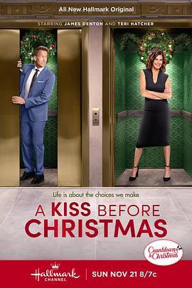 圣诞节前的一个吻 A Kiss Before Christmas (2021) - 毒蛇电影