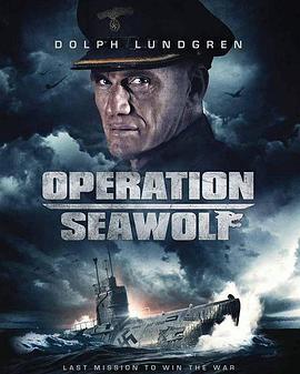 海狼行动 Operation Seawolf (2022) - 毒蛇电影