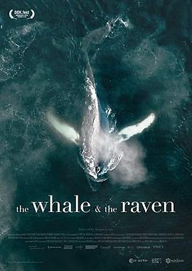 The Whale and the Raven  (2019) - 毒蛇电影