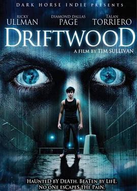 地狱管教所 Driftwood (2006) - 毒蛇电影