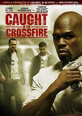 陷入困境 Caught in the Crossfire (2010) - 毒蛇电影