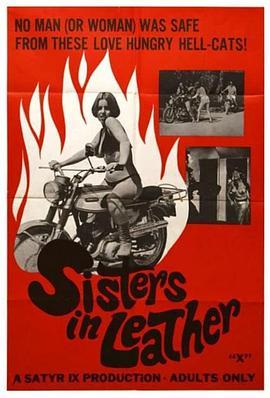 皮衣姐妹 Sisters in Leather (1969) - 毒蛇电影