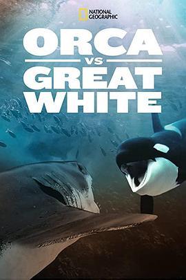 虎鲸对上大白鲨 Orca vs. Great White (2021) - 毒蛇电影