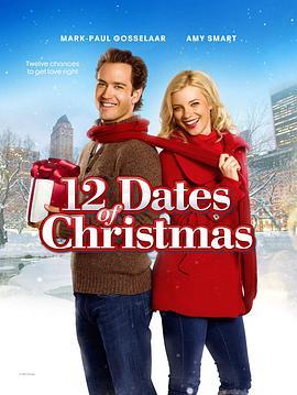 圣诞节的12次约会 12 Dates of Christmas (2011) - 毒蛇电影