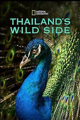 狂野泰国 Thailand's Wild Side (2020) - 毒蛇电影