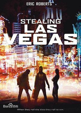 拉斯维加斯往事 Stealing Las Vegas (2011) - 毒蛇电影