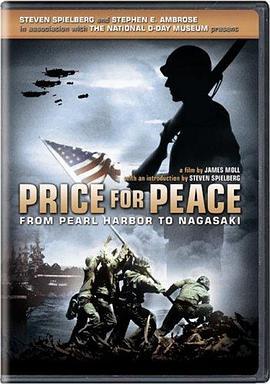 和平的代价 Price for Peace (2002) - 毒蛇电影