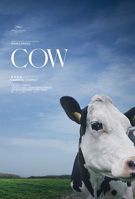 奶牛 Cow (2021) - 毒蛇电影