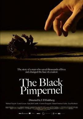 黑色繁笺花 The Black Pimpernel (2007) - 毒蛇电影