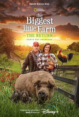 最大的小小农场：回归 The Biggest Little Farm: The Return (2022) - 毒蛇电影