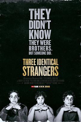 孪生陌生人 Three Identical Strangers (2018) - 毒蛇电影