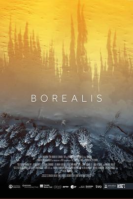 北方 Borealis (2020) - 毒蛇电影