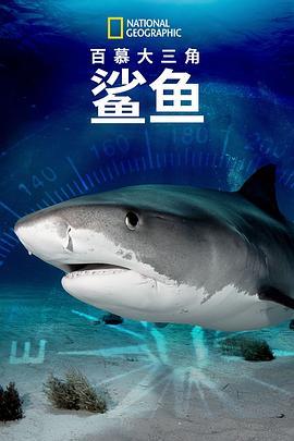 百慕大三角：鯊魚 Sharks of the Bermuda Triangle (2020) - 毒蛇电影