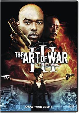 神鬼任务3：惩罚 The Art of War III: Retribution (2009) - 毒蛇电影