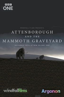 爱登堡与猛犸墓地 Attenborough and the Mammoth Graveyard (2021) - 毒蛇电影