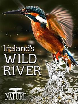 爱尔兰荒野河流 ireland's wild river (2014) - 毒蛇电影