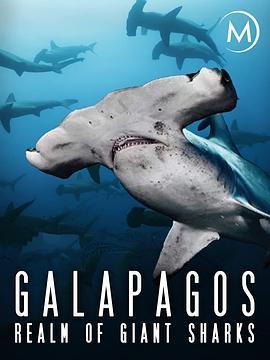 加拉帕戈斯群岛：巨大鲨鱼王国 Galapagos: Realm of Giant Sharks (2012) - 毒蛇电影