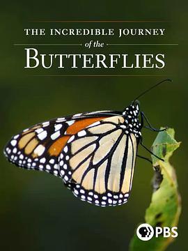 蝴蝶的神奇之旅 The Incredible Journey of the Butterflies (2009) - 毒蛇电影