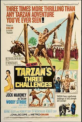 泰山的三大挑战 Tarzan's Three Challenges (1963) - 毒蛇电影