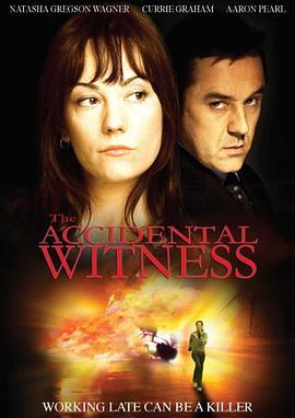 夺命目击 The Accidental Witness (2006) - 毒蛇电影