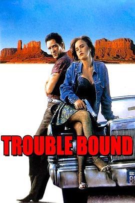 麻烦缠身 Trouble Bound (1993) - 毒蛇电影