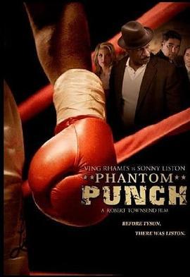 幽灵拳 Phantom Punch (2008) - 毒蛇电影